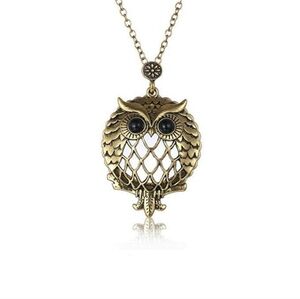 Vintage Unique Owl Magnifying Glass Necklace